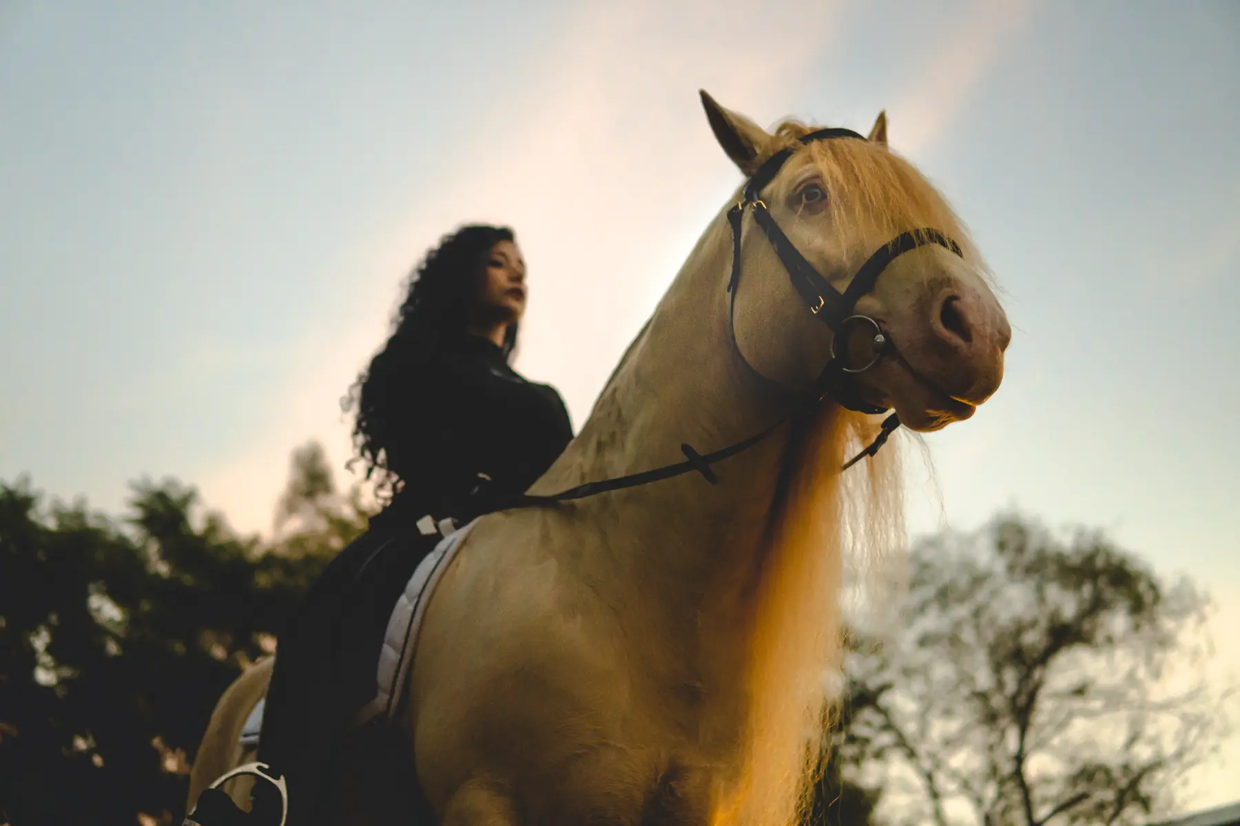 Amazona sobre caballo al atardecer