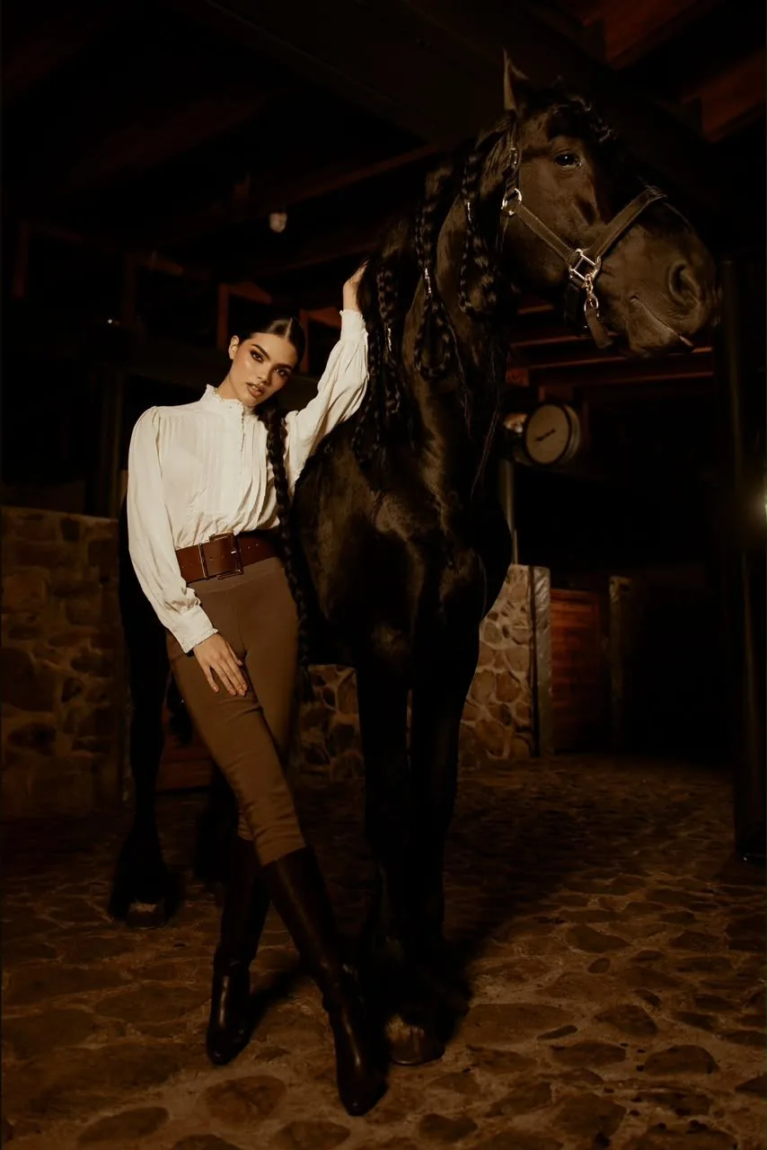 Sesión ecuestre en la caballeriza de piedra con un Friesian