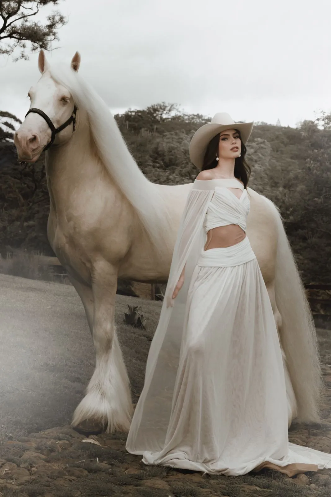 Sesión editorial con un Gypsy Vanner cremello y capa blanca